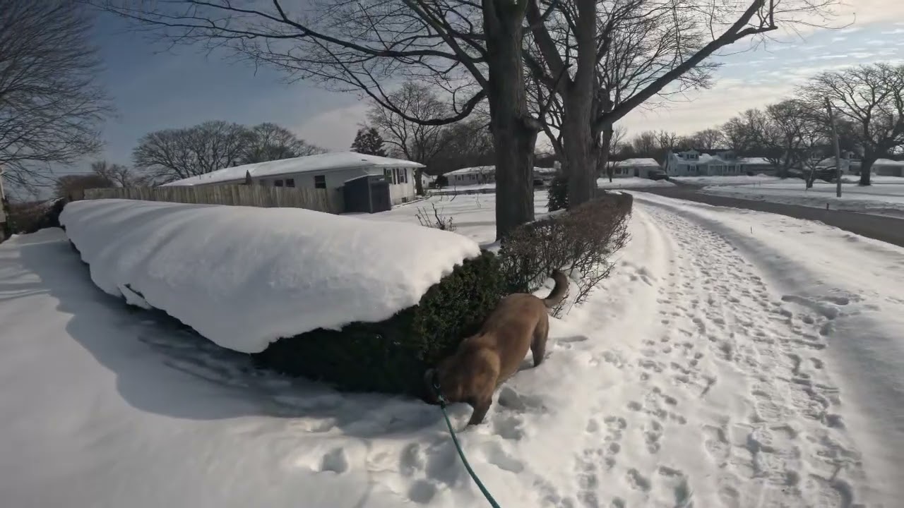 Quick Walk for Ruger