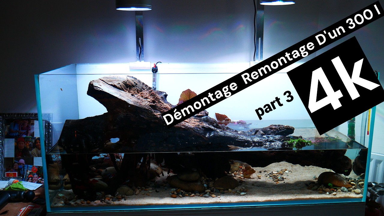 4k Démontage et Remontage  300 l part 3