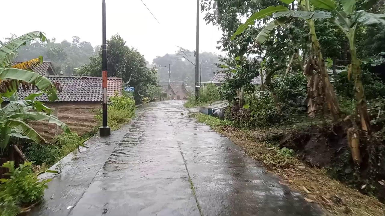 Drizzling rain hit my beautiful and quiet village with views of rice fields