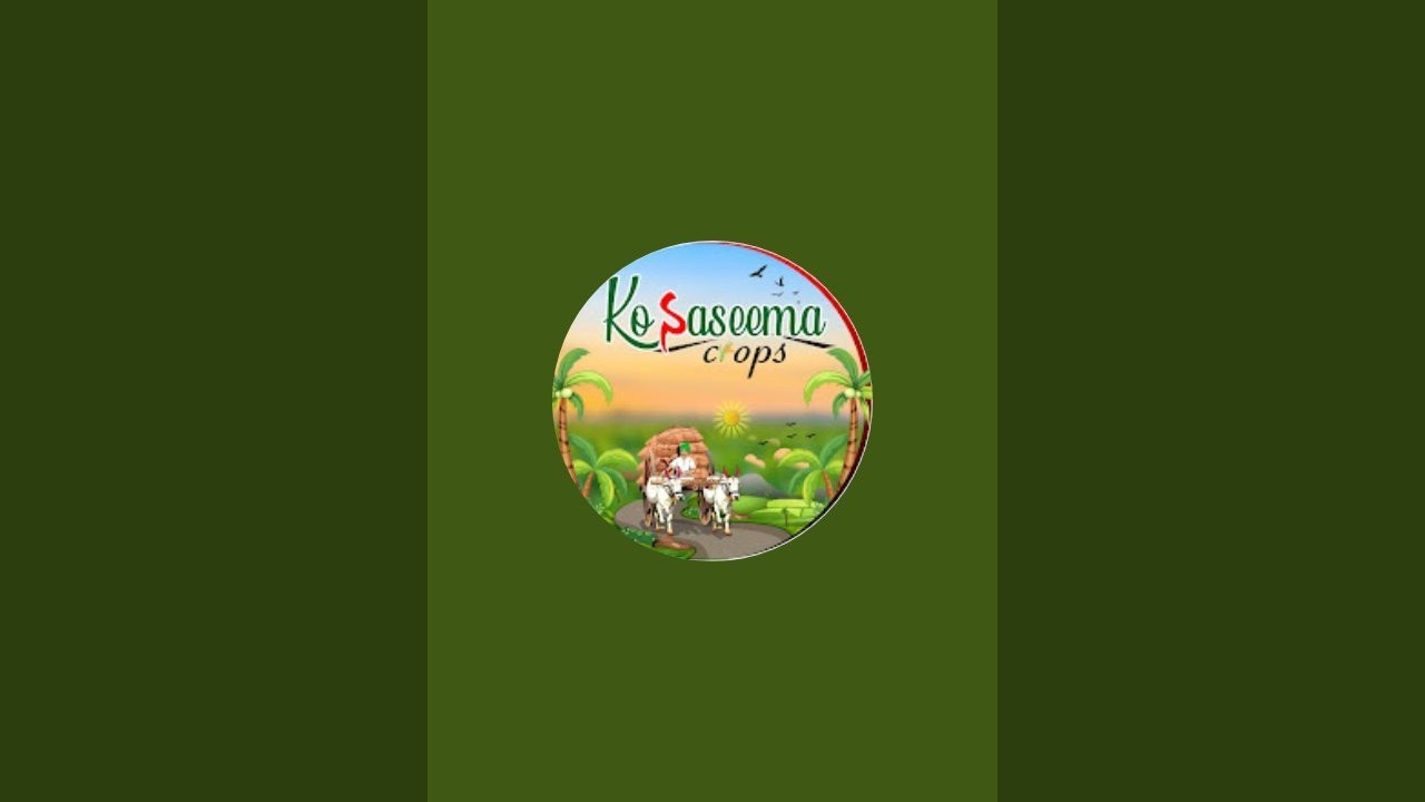 కోనసీమ అందాలు chit chat #konaseema #nature #farmer