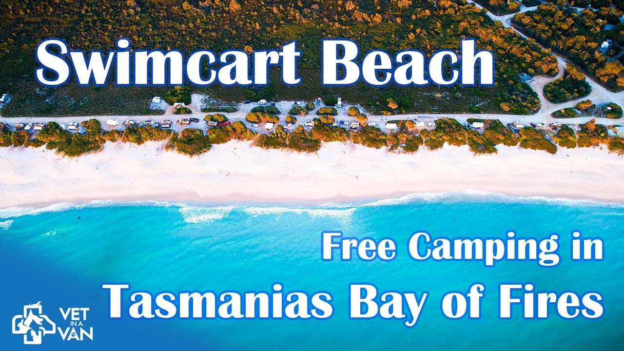 Swimcart Beach Free Camping | Bay of Fires Tasmania, St Columba Falls & a Giant Anaconda!