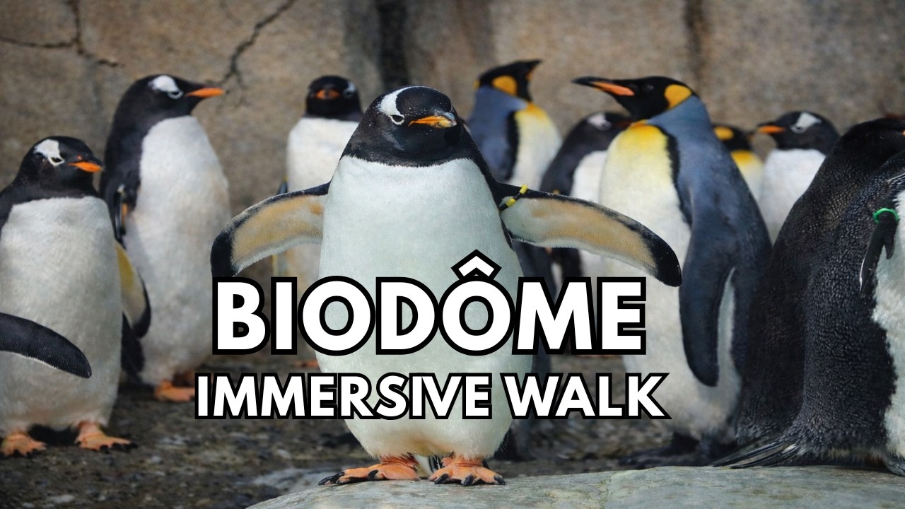 [4K][CC] Montreal Biodome Walk 🌿 | Discover Ecosystems, Wildlife & Nature