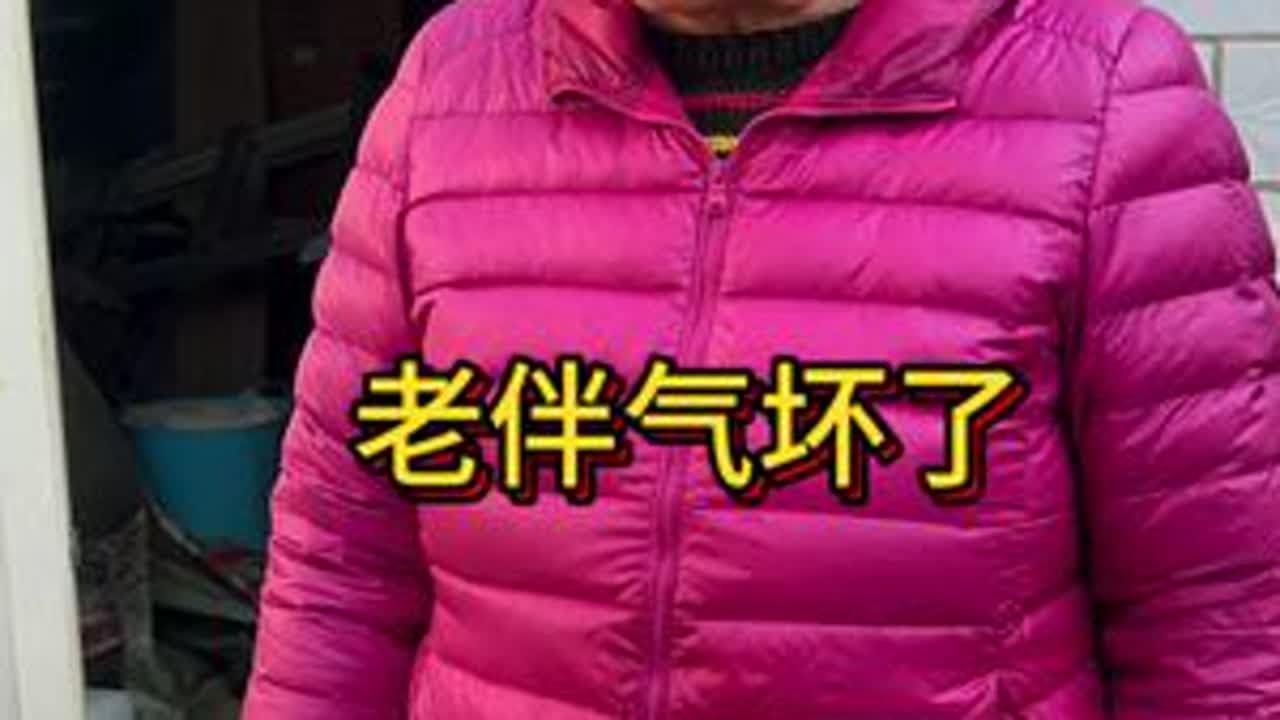 鸟大爷捡狗惹怒老伴儿！ #我的乡村生活记录 #老年生活#流浪狗 #内容过于真实 #农村的大事小事