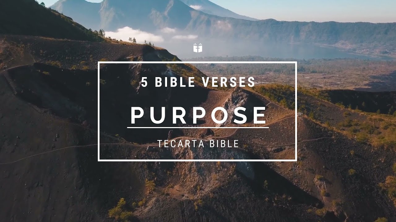 Bible Verses on Purpose