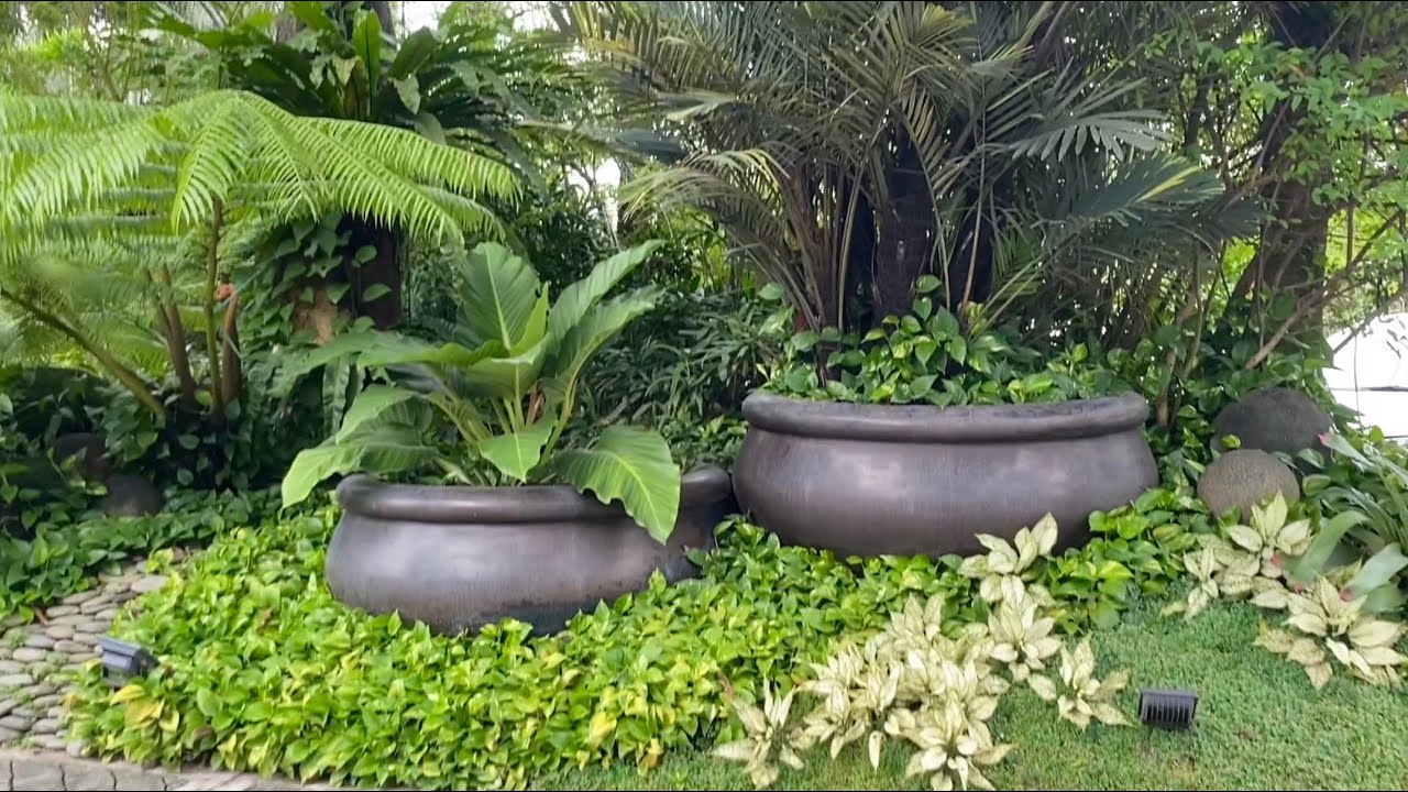 My Plantita Journey Vlog # 90.3 || Gazebo Royale, beautiful place gives a refreshing ambience