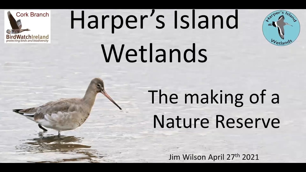 BWI Harper's Island Presentation Jim Wilson