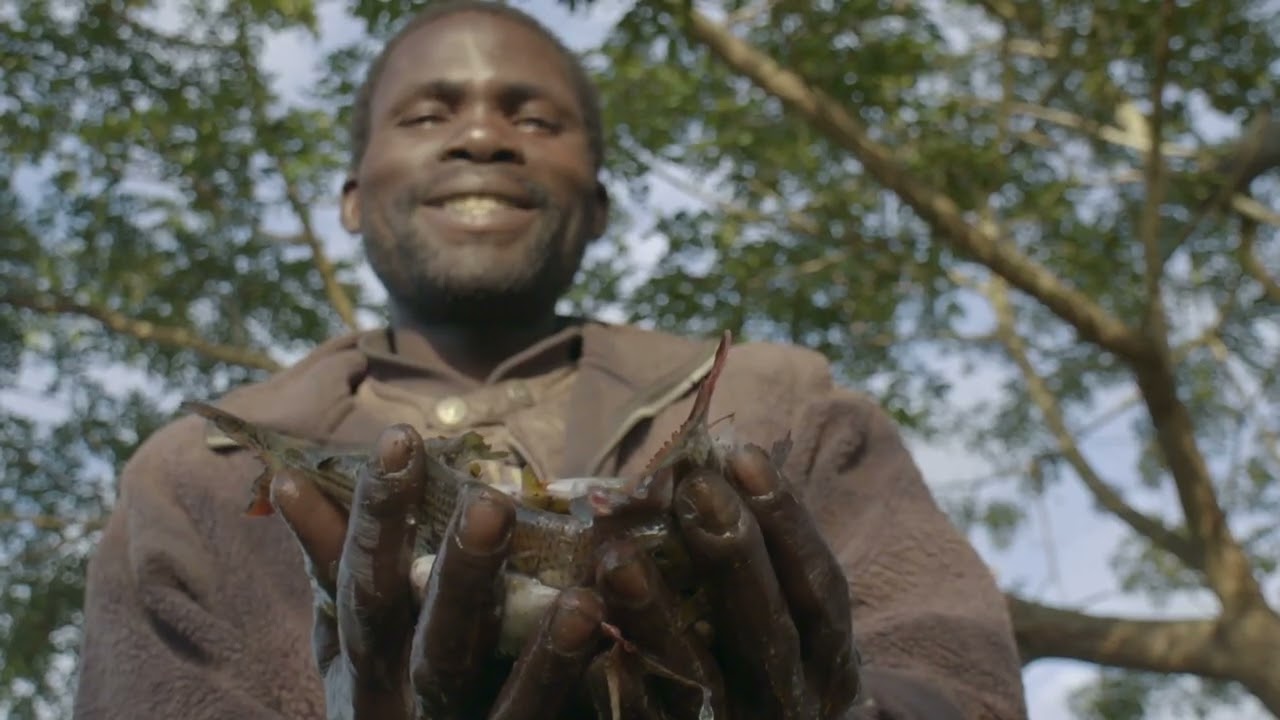 Induction Video Gorongosa National Park, Mozambique