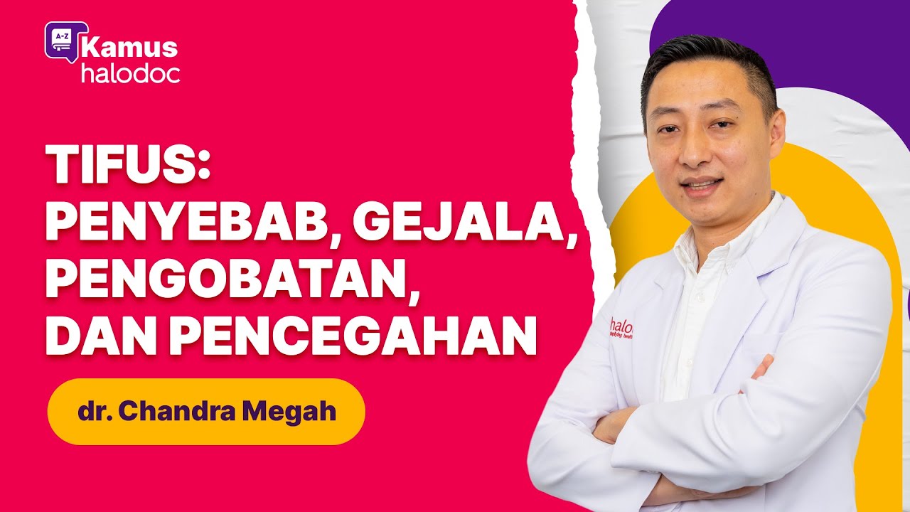 Tifus: Penyebab, Gejala, Pengobatan, dan Pencegahan