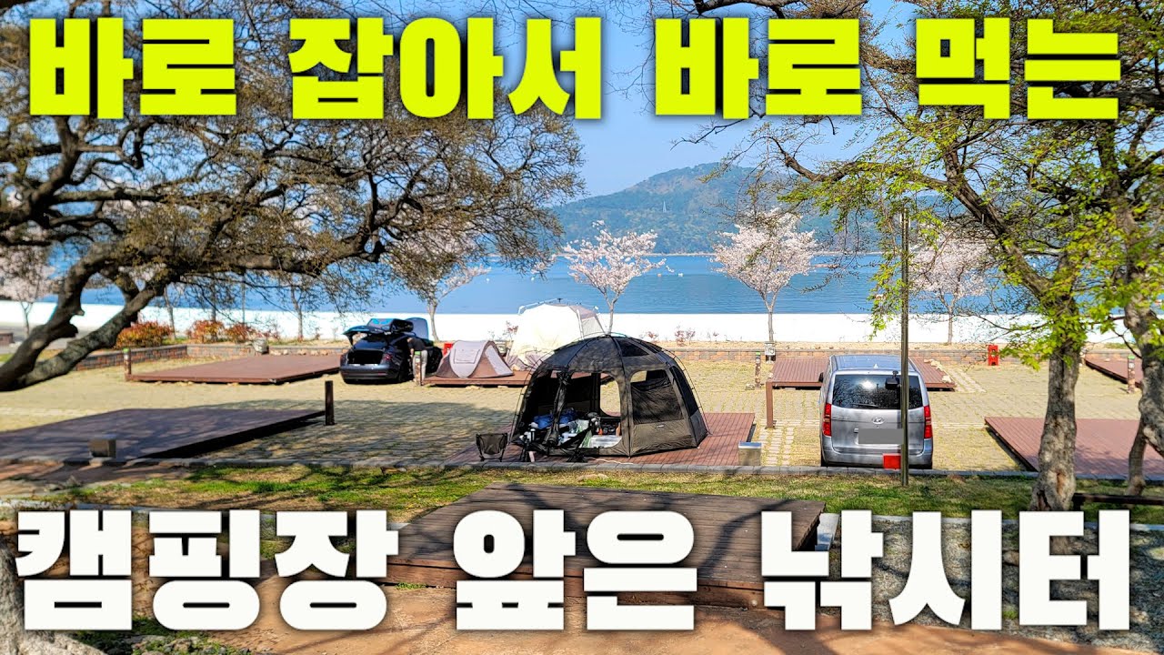 아내가 깜짝 놀란 횟감은 캠핑장 바로 앞에서 잡았지요 풉