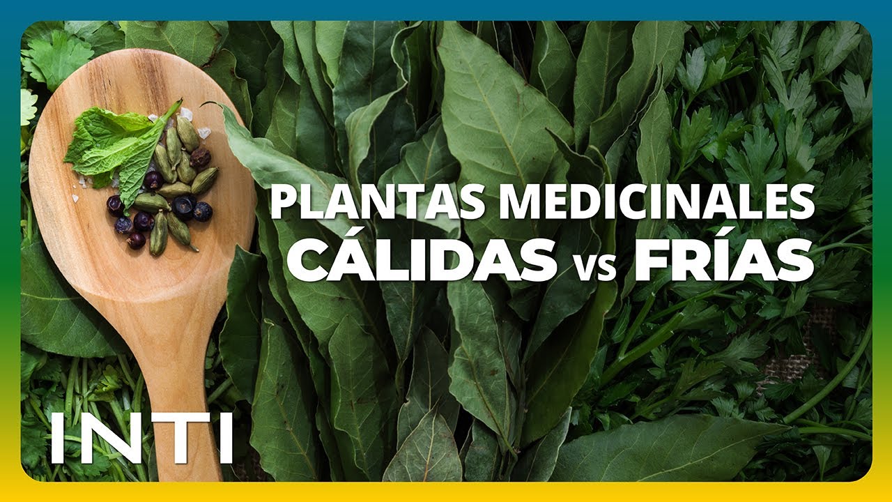 Botica Natural E3: ¿Qué plantas eliges para mantenerte saludable? | Chiva Lupuna | INTI Tv