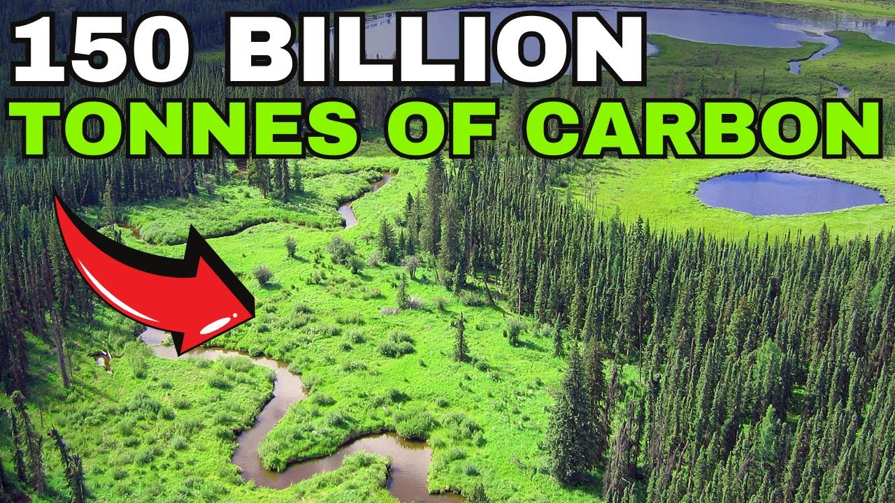 Is This Canada's Most Important Ecosystem?
