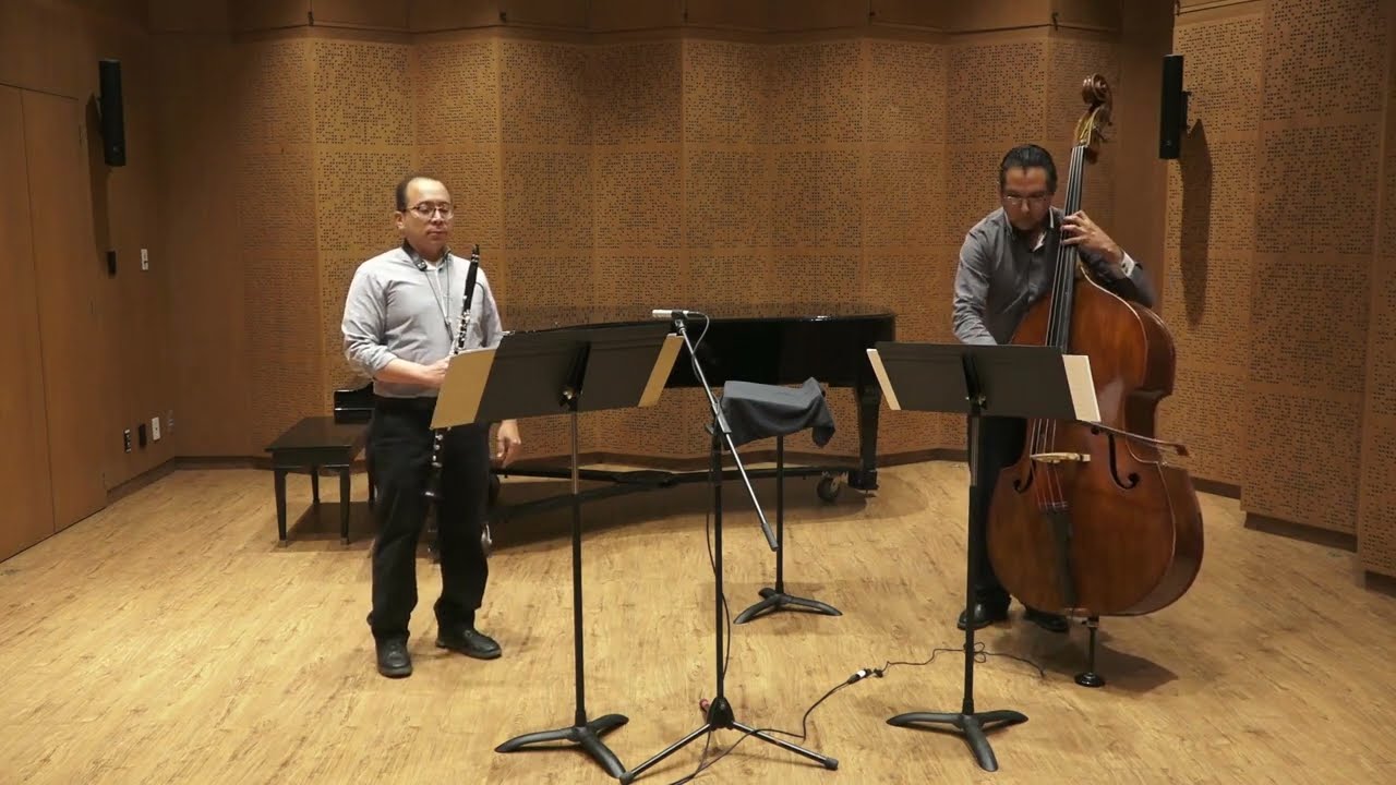 LABERINTOS I. Estereograma by Rodrigo Mata / Hugo Manzanilla & Rodrigo Mata