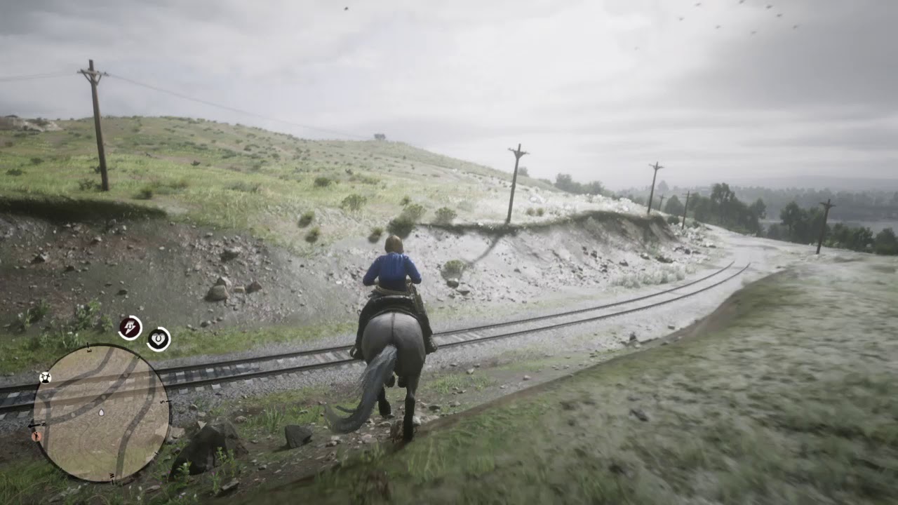 Expert Horsewomanship