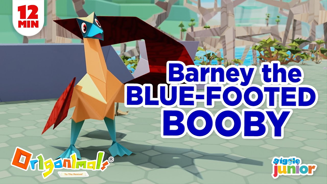 Episode 9. FUN CARTOON FOR KIDS - BARNIE THE BLUE FOOTED BOOBY