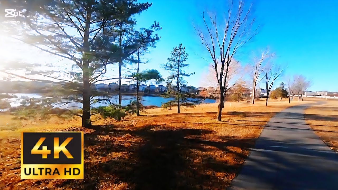 Neighborhood Lake Walkabout!
