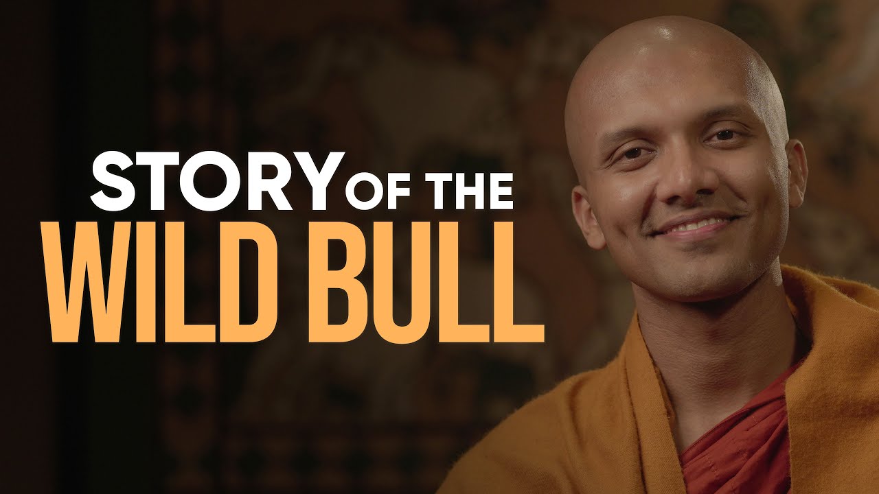 How to Discipline Your Thoughts... | Buddhism In English