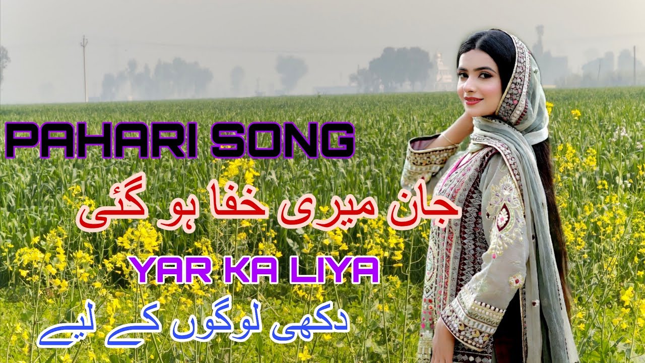 Jan Meri Khafa Ho Gayi | Pahari Song | Love Pahari Song || Gojri Song | Pahari Mahiya | Ta Choudhary