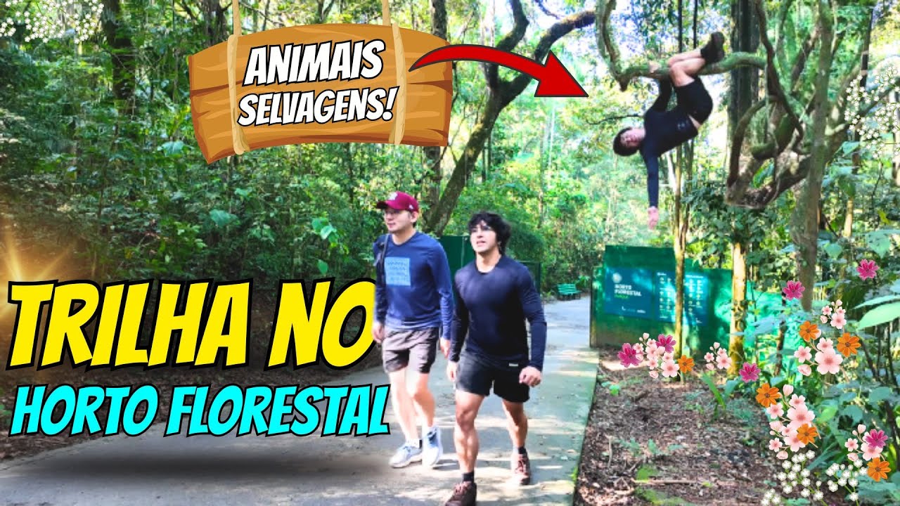 PARQUE ESTADUAL CANTAREIRA | TRILHA DA PEDRA GRANDE | CASAL GAY