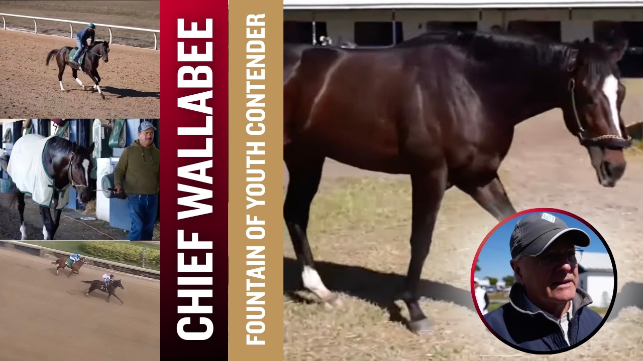 Bill Mott Talks About CHIEF WALLABEE in the Fountain of Youth
