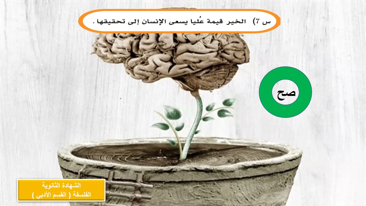 حل  الاسئلة الاسترشادية ثالثة ثانوي الفلسفة1