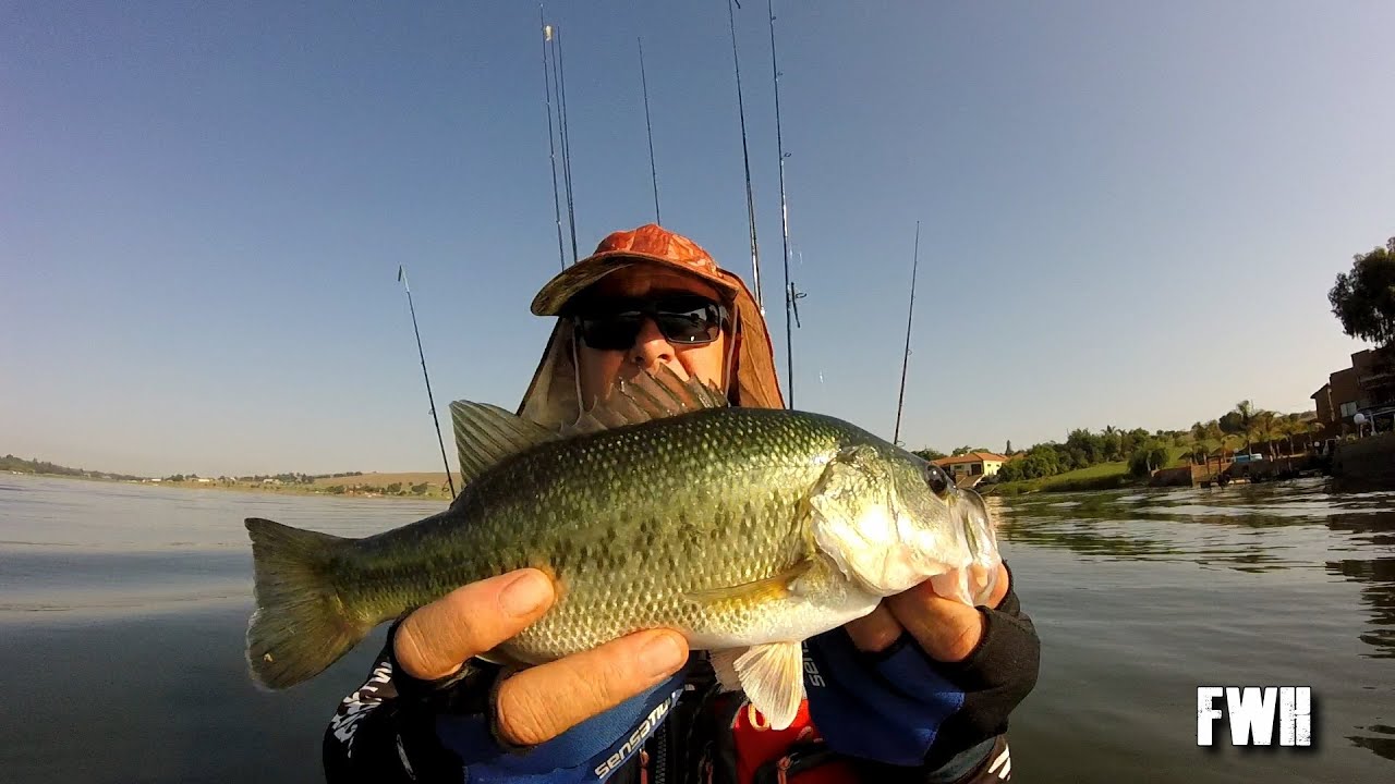 Kayak Bass Fishing Witbank Dam Riverbank Lodge #bassfishing