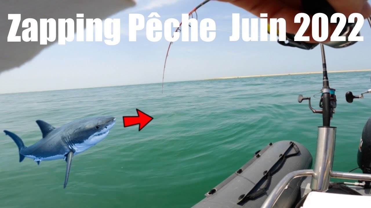 Zapping Pêche Juin 2022 Arcachon / Mimizan / Biscarrosse