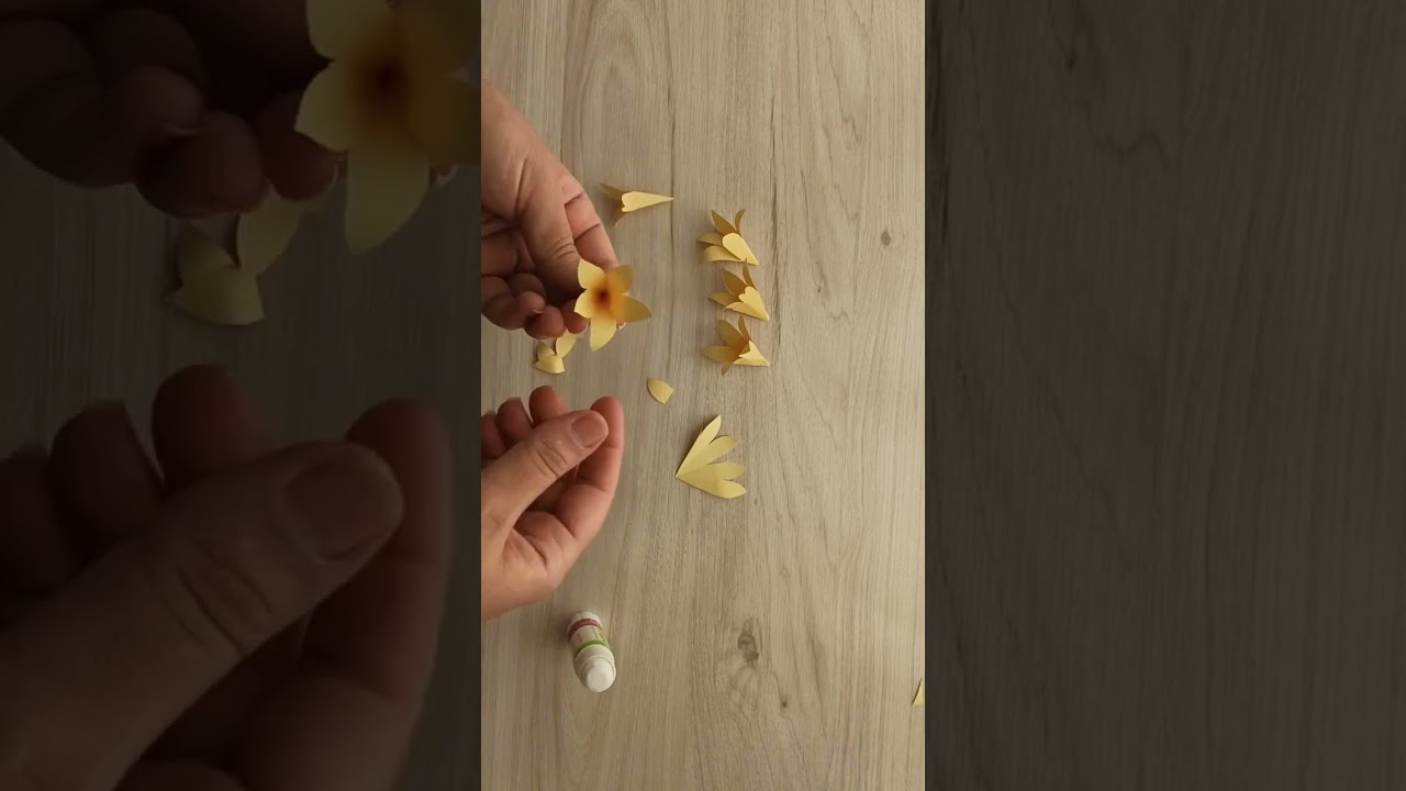Making 3D Paper Flower