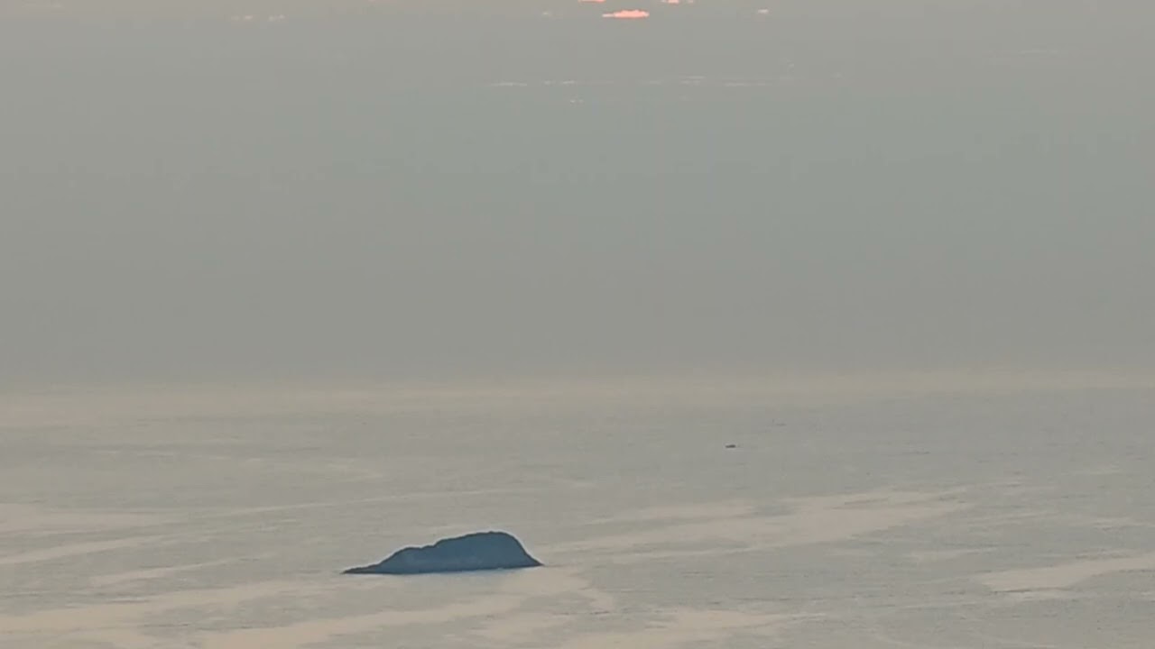2026年1月17日