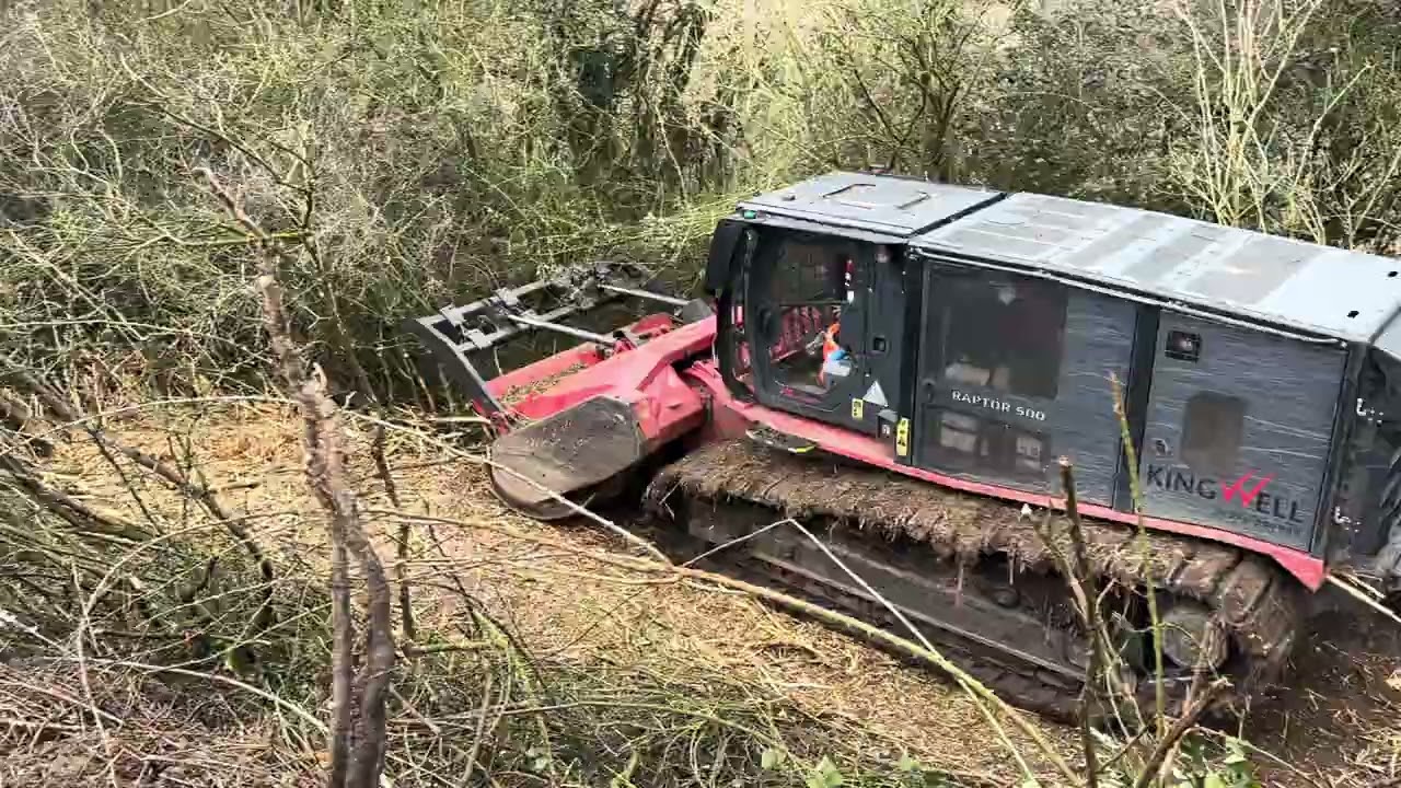 Prinoth Raptor 500 clearing dense trees and scrub.