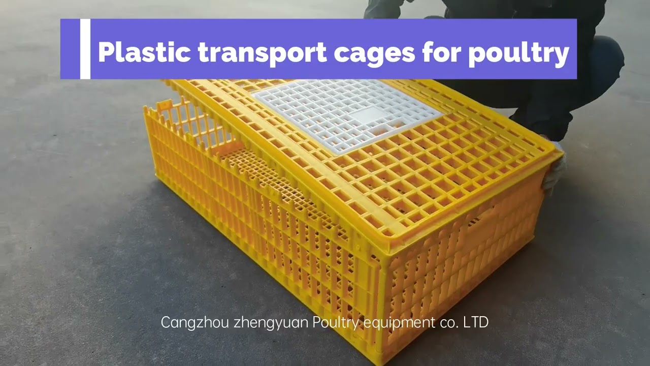 Plastic transport cages for poultry