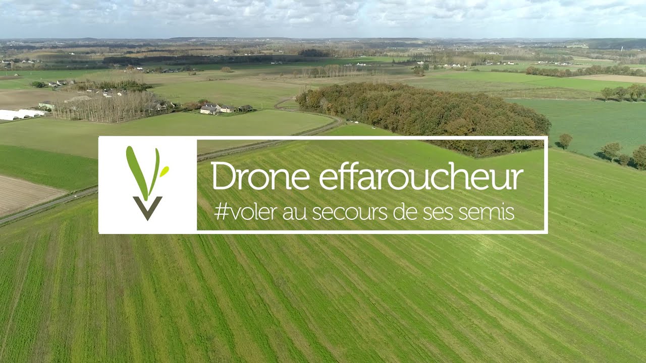 Drone effaroucheur : voler au secours de ses semis