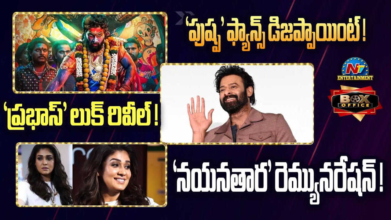 Box Office | Allu Arjun Fans Disappoint | Prabhas Look for Spirit ? | Nayanthara Remuneration |NTVET