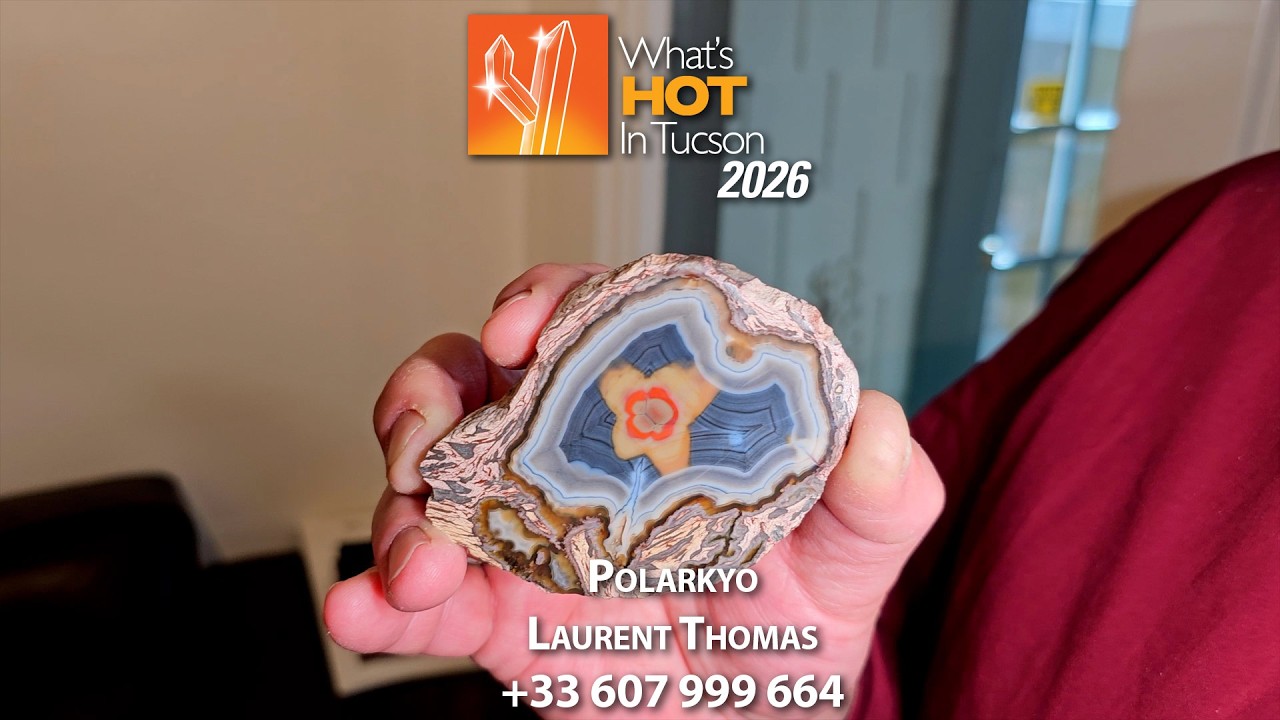 Polarkyo - Что нового в Тусоне в 2026 году - В прямом эфире