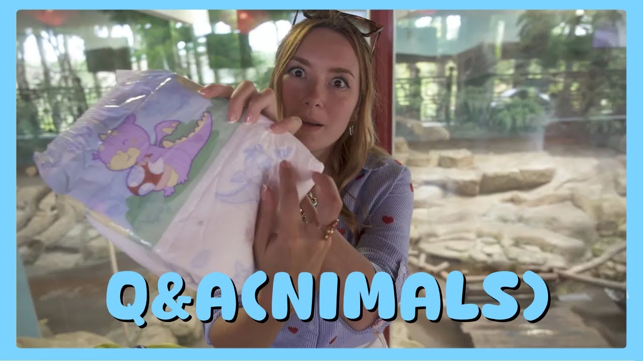 LNGU Q&A(nimals) at Zoo