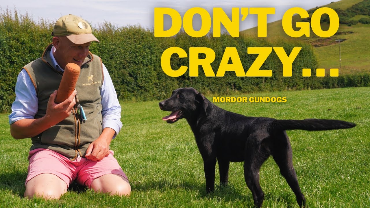 A REALISTIC Training Session With A 6-Month Old Puppy