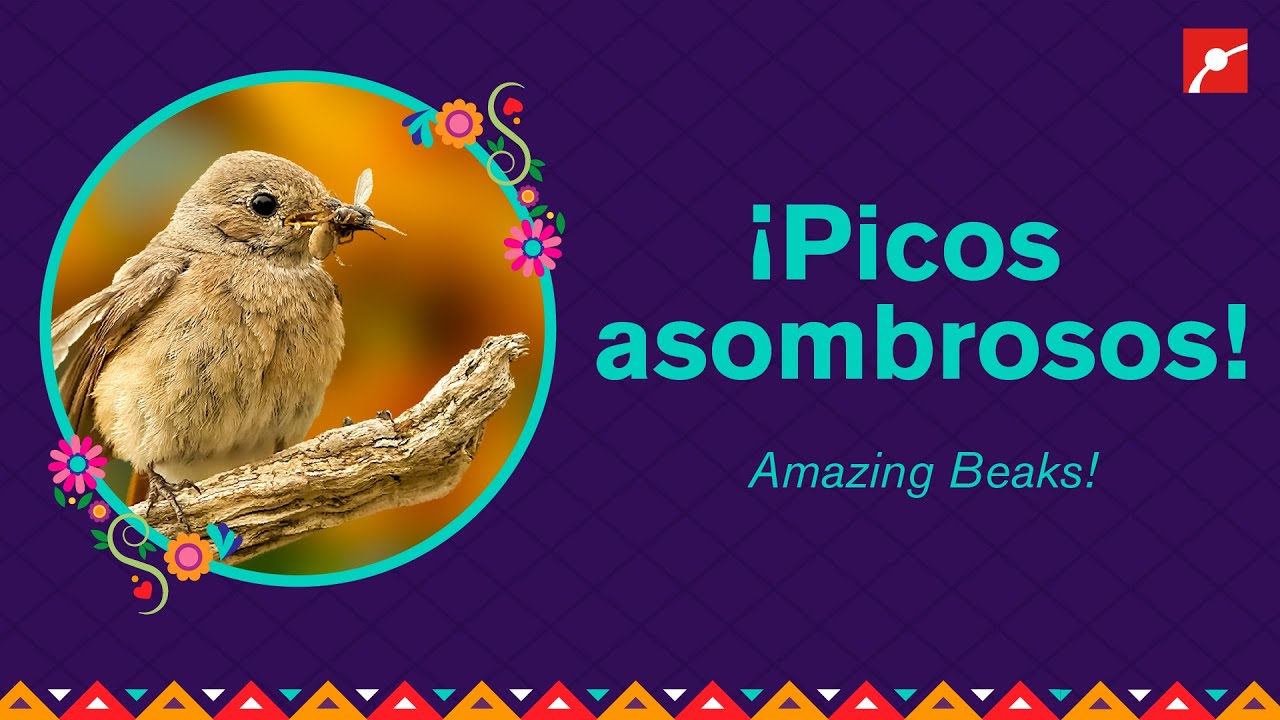 &iexcl;Picos Asombrosos!