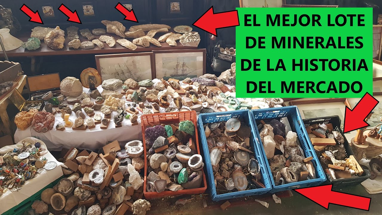 ME PICO EN LA SUBASTA POR UN LOTE DE FÓSILES Y MINERALES EN EL MERCADO DE LOS ENCANTES DE BARCELONA.