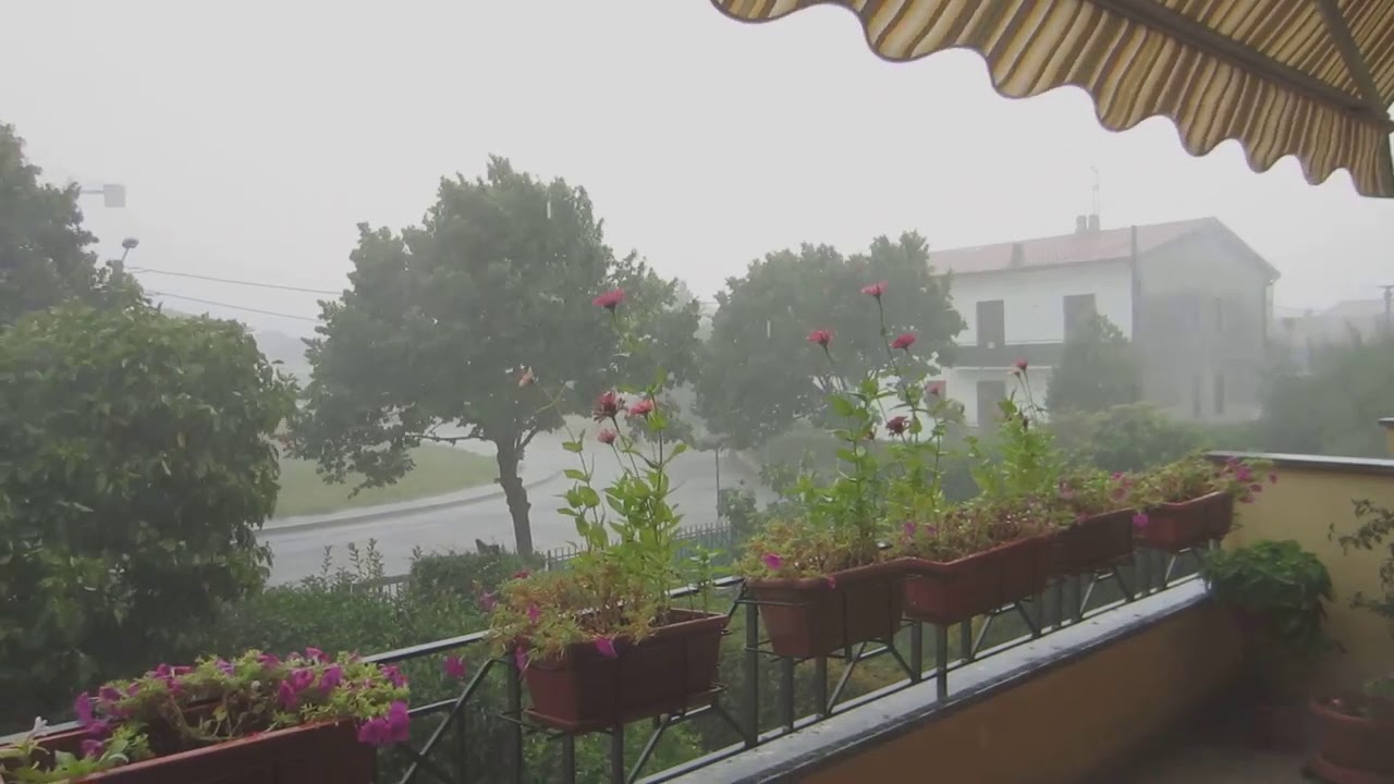 MILANO: temporale con downburst