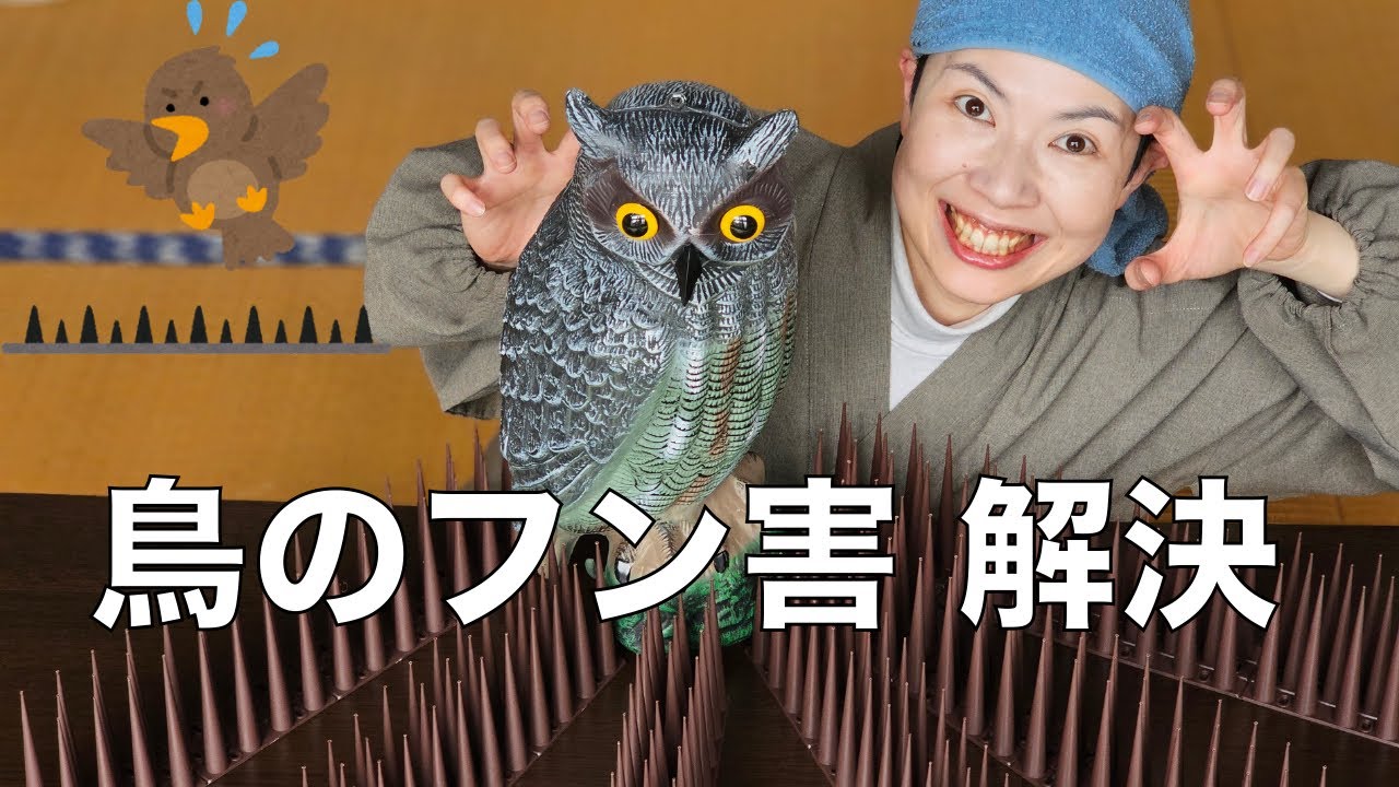 鳥のフン、やめて〜！コレで対策！大成功