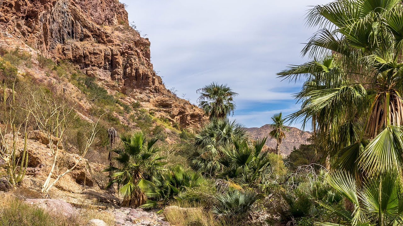 Nacapuli Canyon, San Carlos, Sonora, Mexico