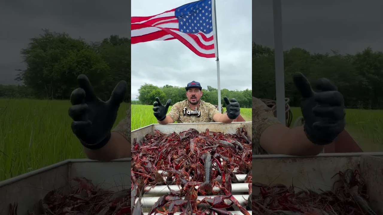 🇺🇸 Louisiana Crawfish Company | Memorial Day