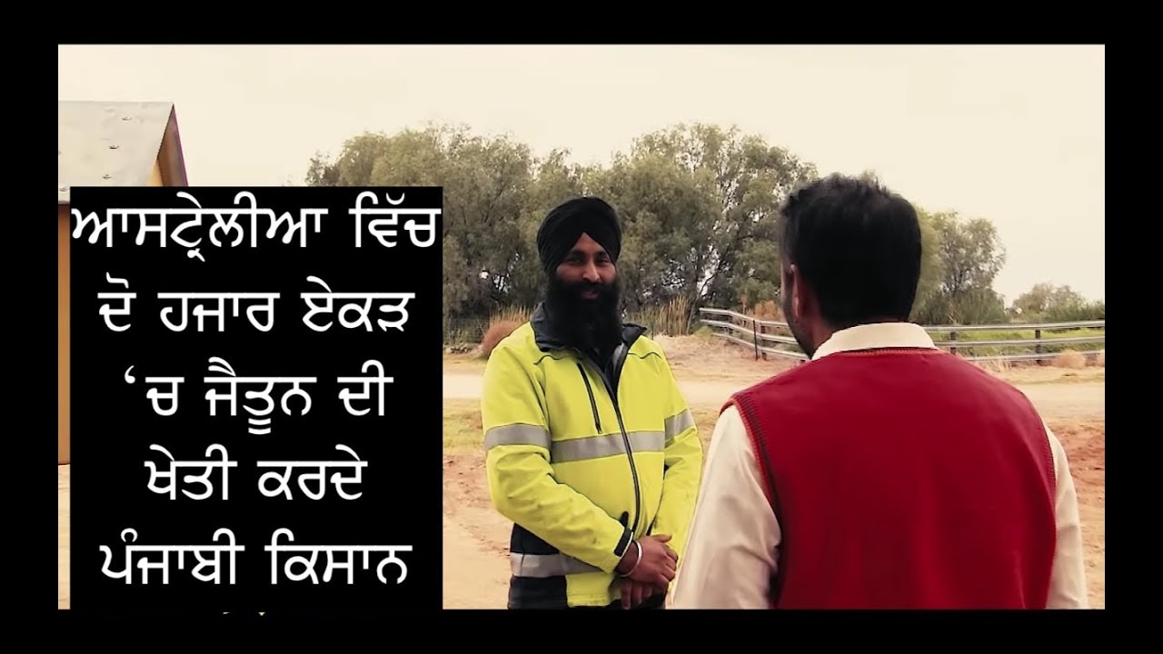 Pendu Australia Episode 43 | Mintu Brar | Olives Productions in 2000 acres | Punjabi Travel Show