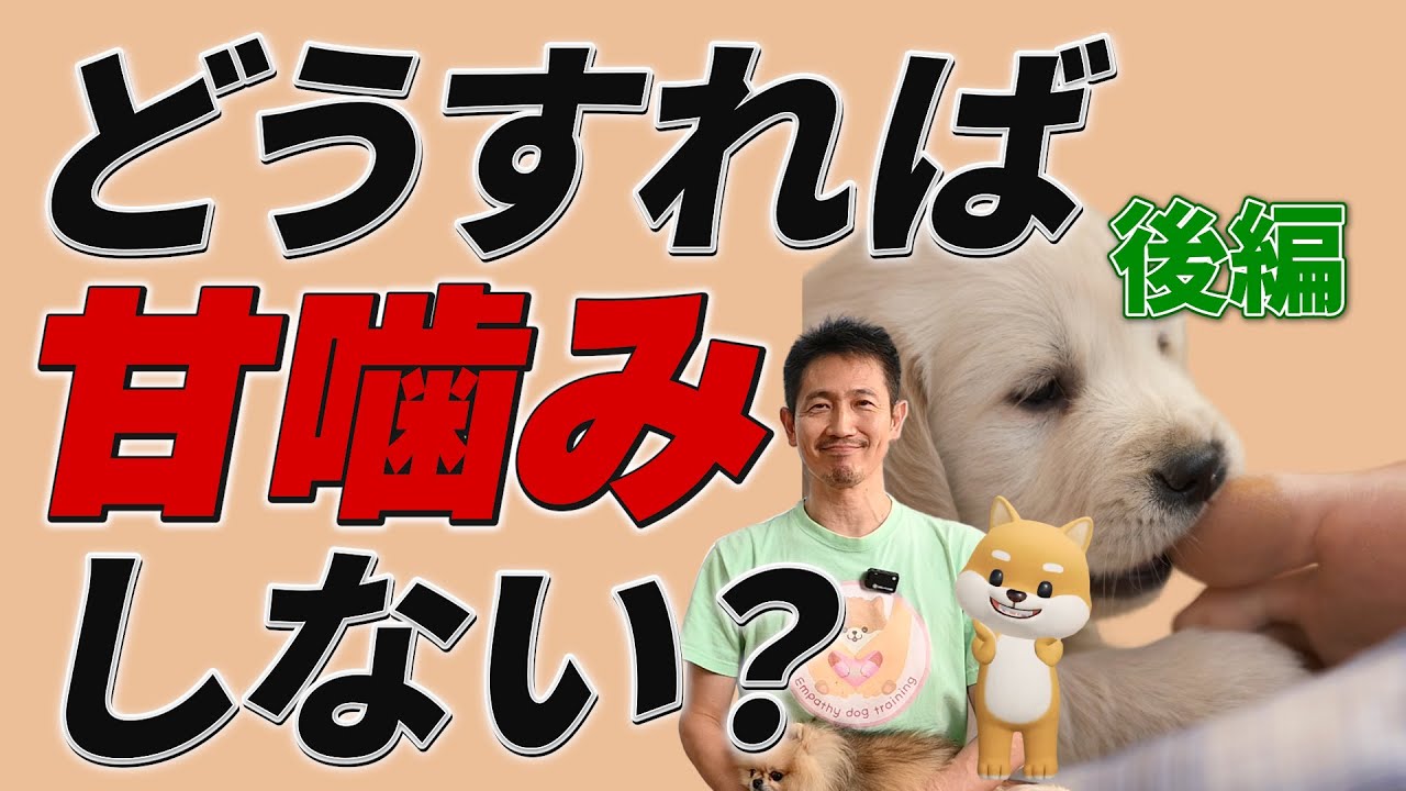 愛犬の甘噛みを最短最速で止める方法！