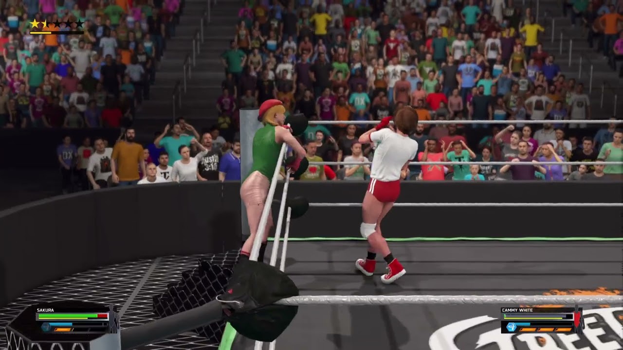 WWE 2K25: Sakura Vs Cammy (Low blow match)