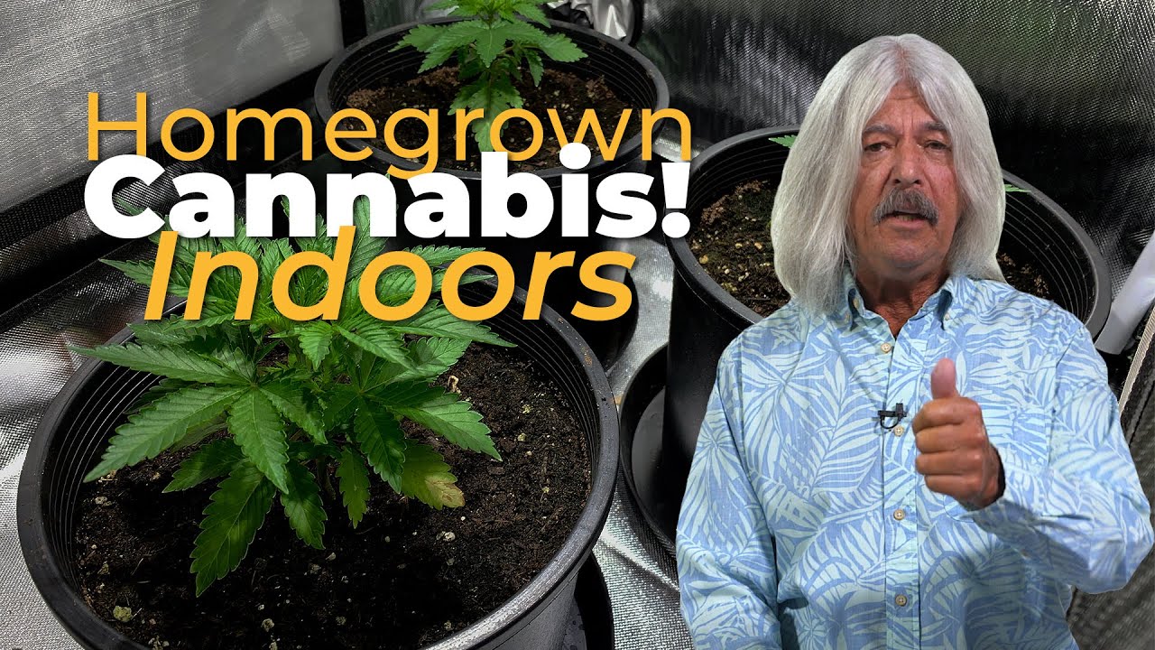 Growing cannabis indoors, now vs then!