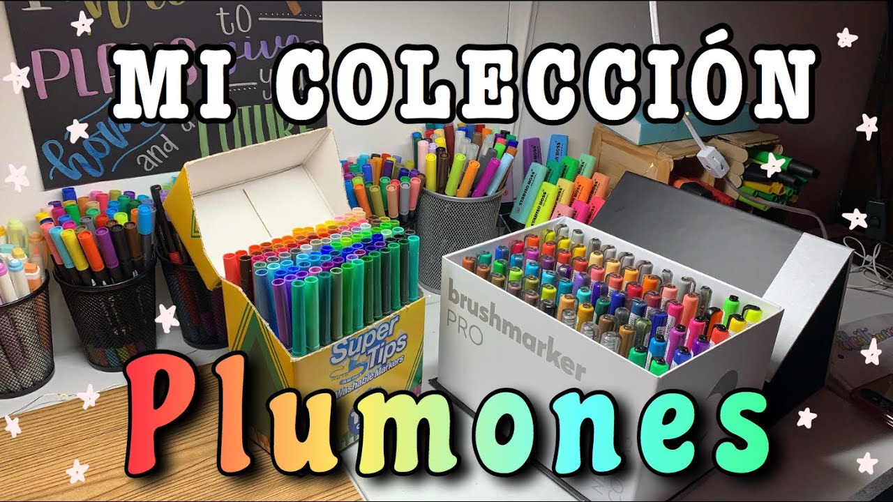 SON MUCHISIMOS😨 | Mi colección de plumones completa👀