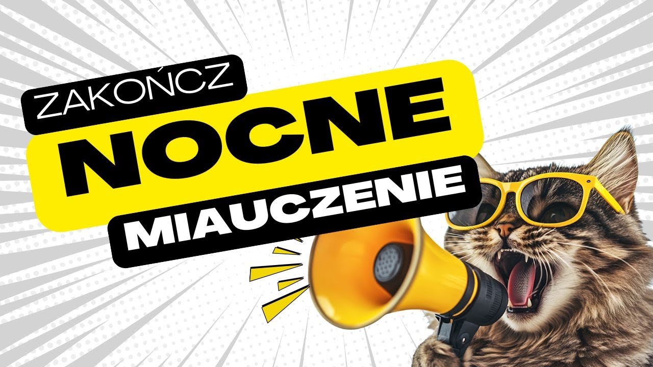O co kotu chodzi i co z tym zrobić?
