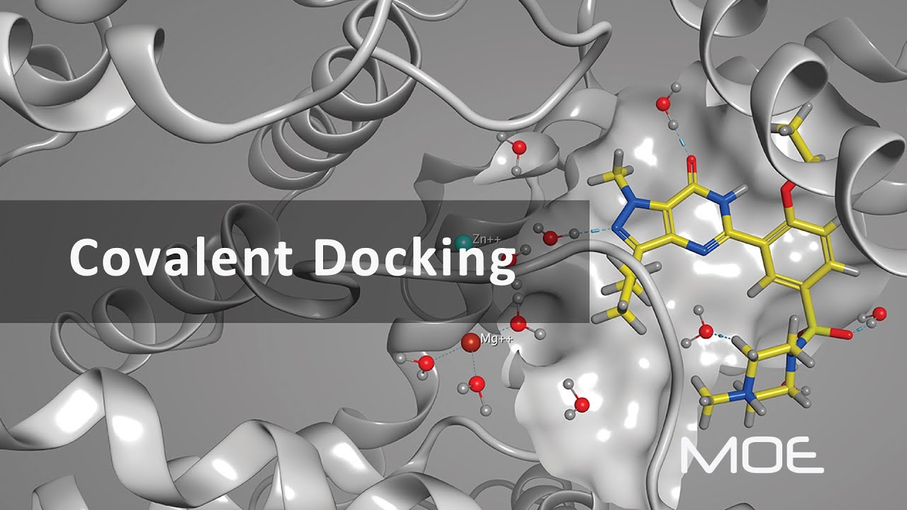 Covalent Docking