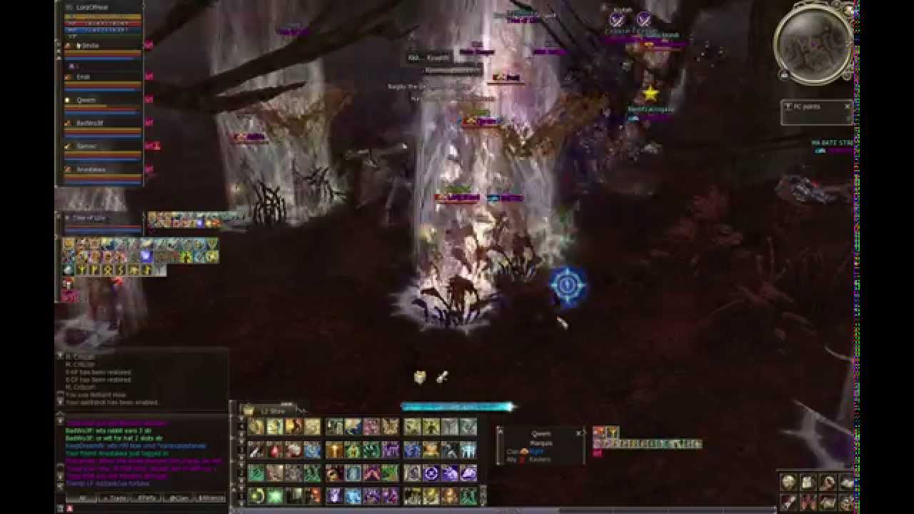 Lineage II - mass PVP in GF (Naia server)