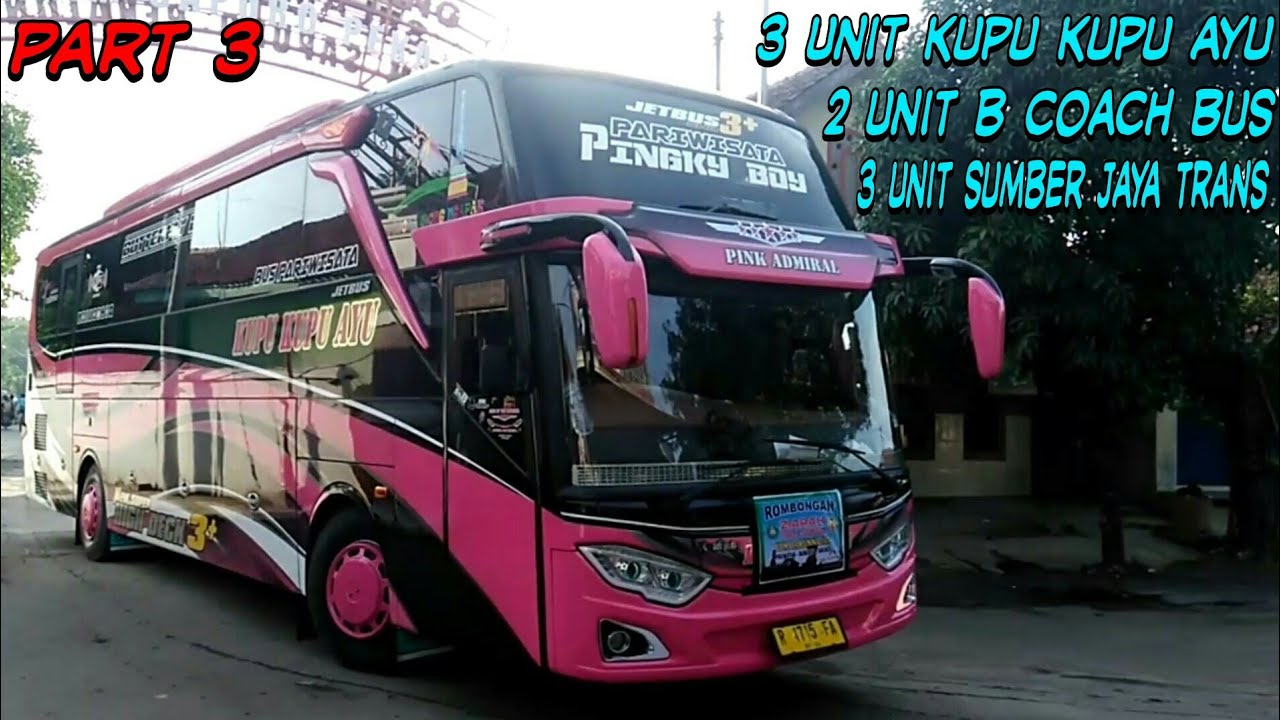 HUNTING BUS DI TERMINAL BUS PARIWISATA MAKAM SAPURO PEKALONGAN [ PART 3 ] TEMU BUS ARTIS